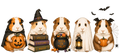 Halloween Guinea Pig PNG – Digital Download
